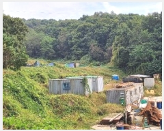  2024Ÿ��4221 ��� �ȼ��� �׻�� �α��� 56      ����(��)���