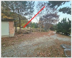  2024Ÿ��4542  �����