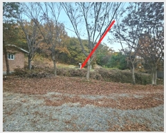  2024Ÿ��4542  �����