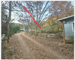  2024Ÿ��4542  �����