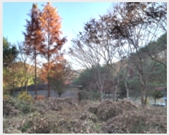  2024Ÿ��4542  �����