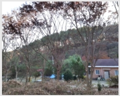  2024Ÿ��4542  �����