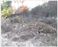  2024Ÿ��4542  �����