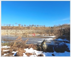  2024Ÿ��5071  �����