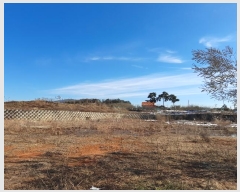  2024Ÿ��5071  �����