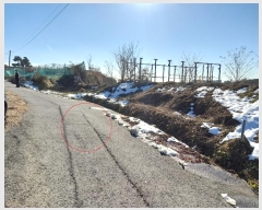  2024Ÿ��5071  �����