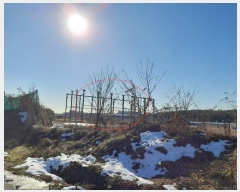  2024Ÿ��5071  �����