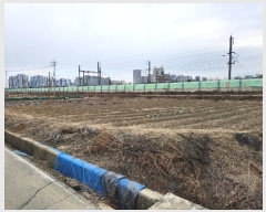  2024Ÿ��5125 ��� ���ý� ������ 491       ����(��1)���