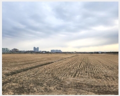  2024Ÿ��5125 ��� ���ý� ������ 491       ����(��1)���