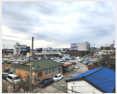  2024Ÿ��5125 ��� ���ý� ������ 491       ����(��1)���