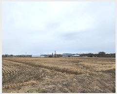  2024Ÿ��5125 ��� ���ý� ������ 491       ����(��1)���