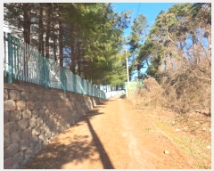  2024Ÿ��5163  �Ӿ߰��