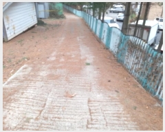  2024Ÿ��5163  �Ӿ߰��