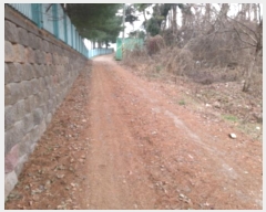  2024Ÿ��5163  �Ӿ߰��