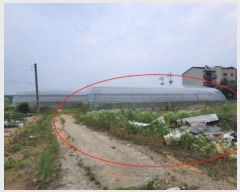  2024Ÿ��46201 ��� ���ý� �ؼ��� ��͸� 282      ����(�������)���