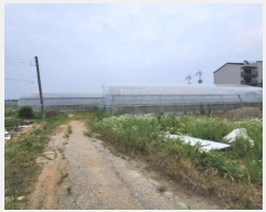  2024Ÿ��46201 ��� ���ý� �ؼ��� ��͸� 282      ����(�������)���