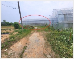  2024Ÿ��46201 ��� ���ý� �ؼ��� ��͸� 282      ����(�������)���