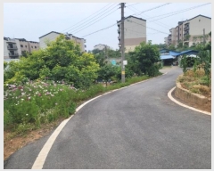  2024Ÿ��46201 ��� ���ý� �ؼ��� ��͸� 282      ����(�������)���