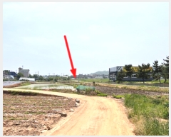  2024Ÿ46331  ý ؼ Ŵ븮 96      ()