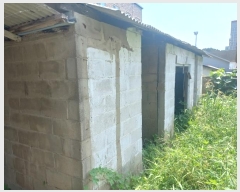  2024Ÿ47303  ý   281-5      ()