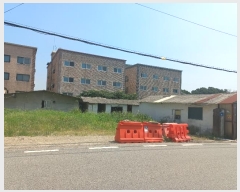  2024Ÿ47303  ý   281-5      ()