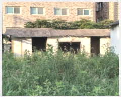  2024Ÿ47303  ý   281-5      ()