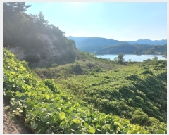  2024Ÿ��48030 ��� �ȼ��� �׻�� �α��� 183-5      ����(�Ӿ�)���