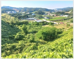  2024Ÿ��48030 ��� �ȼ��� �׻�� �α��� 183-5      ����(�Ӿ�)���