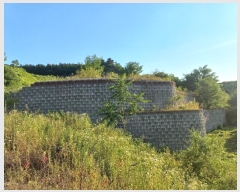  2024Ÿ��48030 ��� �ȼ��� �׻�� �α��� 183-5      ����(�Ӿ�)���