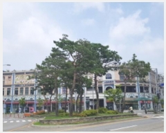  2024Ÿ��48795 ��� ���ý� ����5�� 10, 1��1221ȣ (������,���ð��μ��漾Ʈ����)     ��,�繫�ǰ��