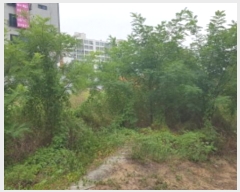  2024Ÿ��49132 ��� �ȼ��� ������ ������ 90-50      ����(������)���