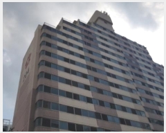  2024Ÿ49453  ȼ   32, 204 3302ȣ (縮ûƮ)   Ʈ