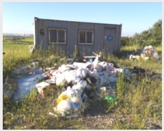  2024Ÿ��50583  �Ӿ߰��