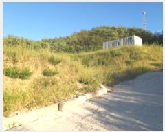  2024Ÿ��50583  �Ӿ߰��