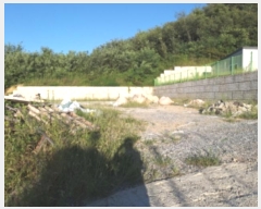  2024Ÿ��50583  �Ӿ߰��