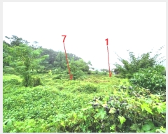  2024Ÿ��51432  �����