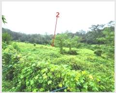  2024Ÿ��51432  �����