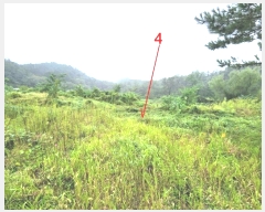  2024Ÿ��51432  �����