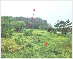  2024Ÿ��51432  �����