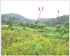  2024Ÿ��51432  �����