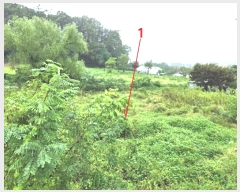  2024Ÿ��51432  �����