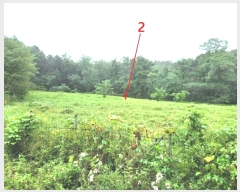  2024Ÿ��51432  �����