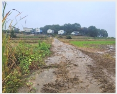  2024Ÿ��52046 ��� ���ý� ������ ������ 397-1      ����(��)���