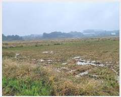  2024Ÿ��52046 ��� ���ý� ������ ������ 397-1      ����(��)���