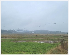  2024Ÿ��52046 ��� ���ý� ������ ������ 397-1      ����(��)���