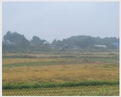  2024Ÿ��52046 ��� ���ý� ������ ������ 397-1      ����(��)���