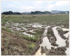  2024Ÿ��52046 ��� ���ý� ������ ������ 397-1      ����(��)���