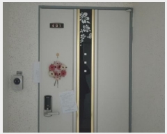  2024Ÿ��52381  �ټ���(����)���