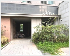  2024Ÿ��52473 ��� ���ý� ������ �۴�1�� 55, 201�� 10��1002ȣ (�۴���������2��)   ����Ʈ���