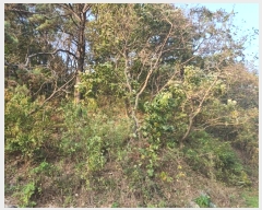  2024Ÿ��53551  �Ӿ߰��